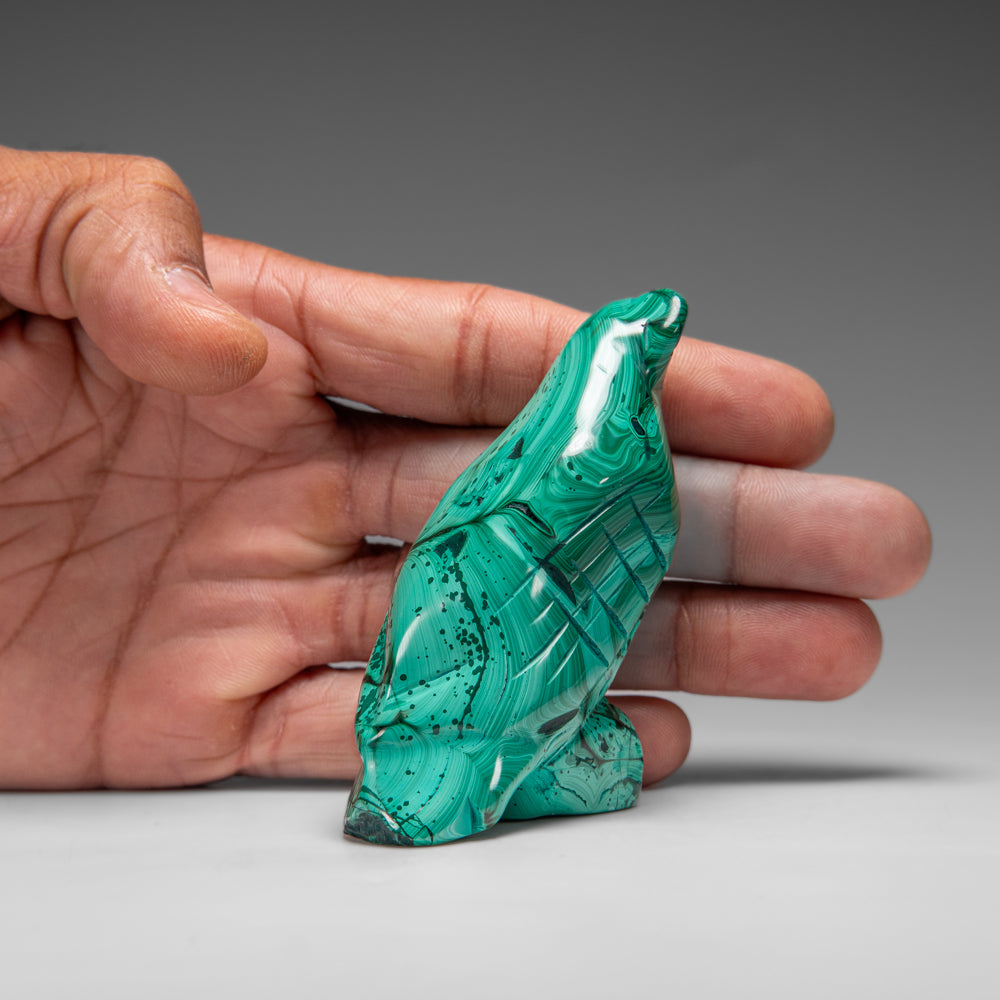 Genuine Polished Malachite Eagle Carving (175.9 grams)