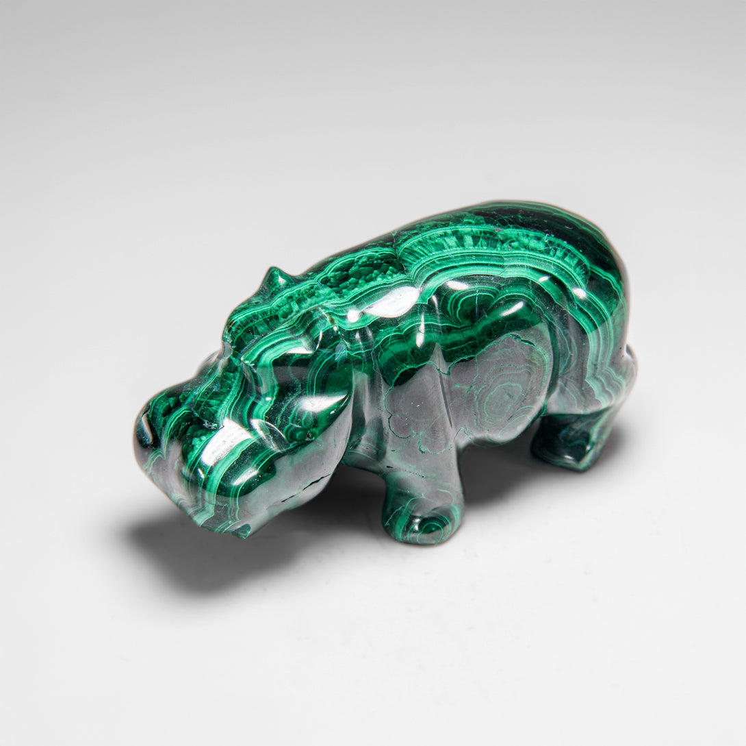 Genuine Polished Malachite Hippo Carving (355.8 grams)