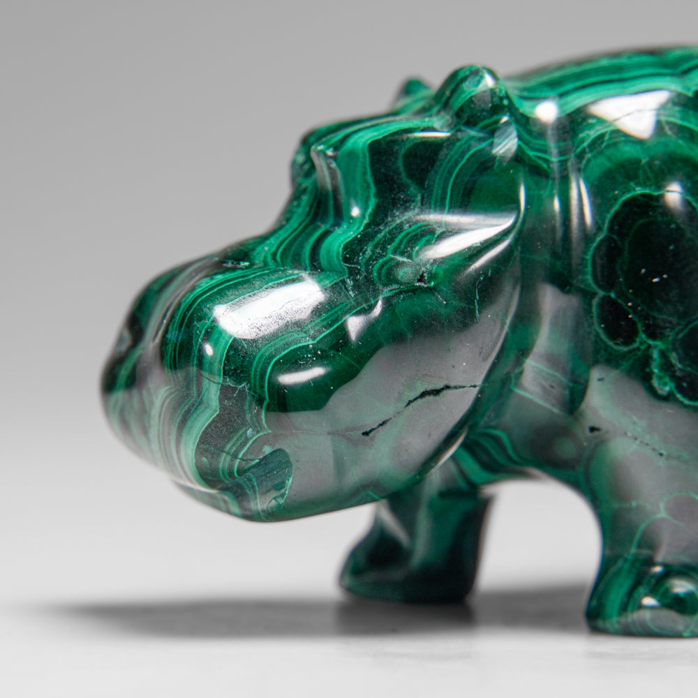 Genuine Polished Malachite Hippo Carving (355.8 grams)