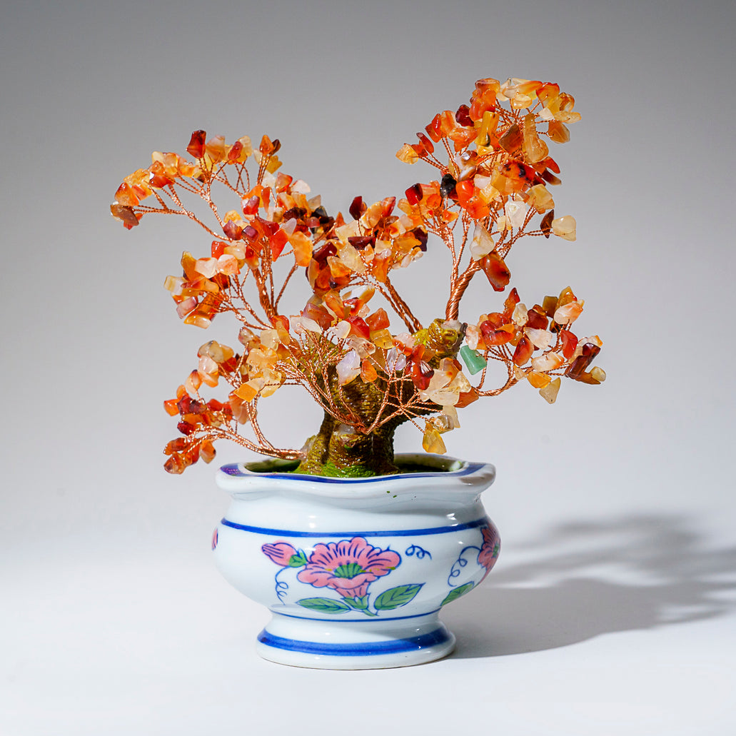 bonsai tree ceramic pot Genuine Carnelian Bonsai Tree in Round Ceramic Pot (8.5” Tall)