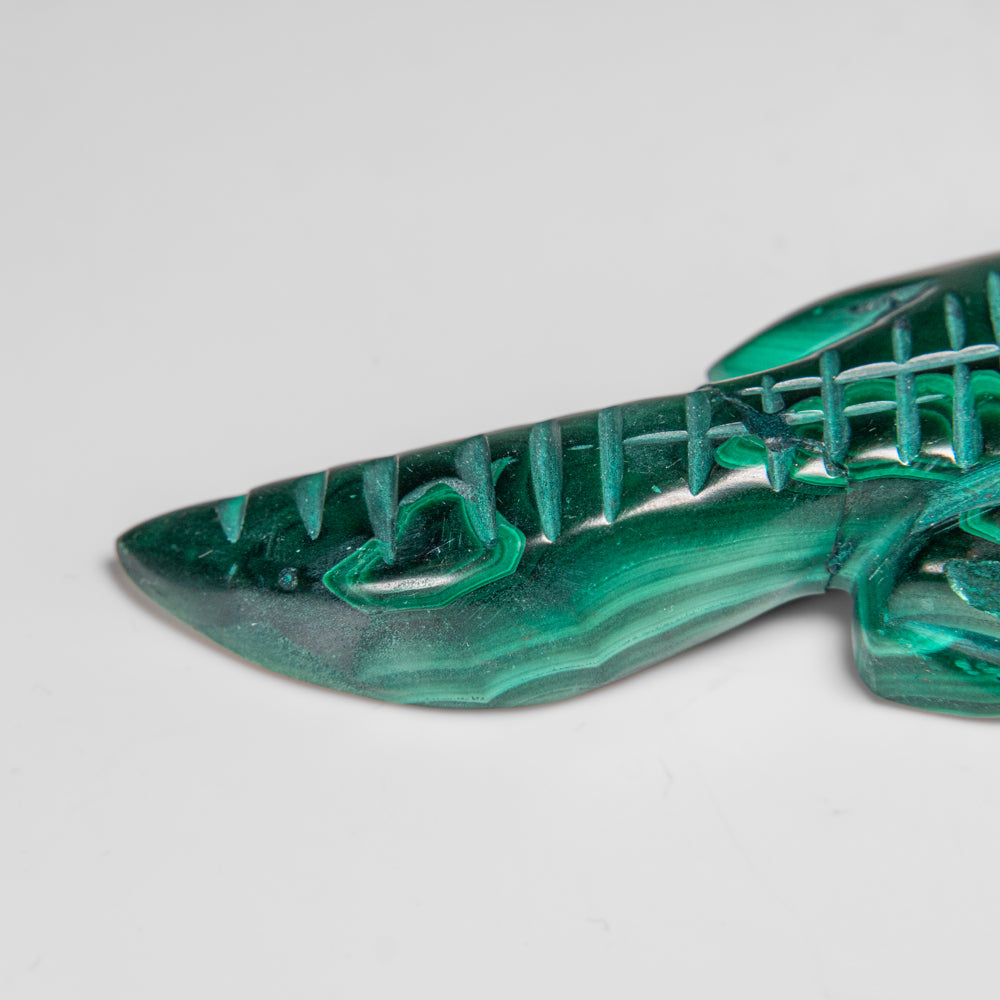 Genuine Polished Malachite Crocodile Carving (77.4 grams)
