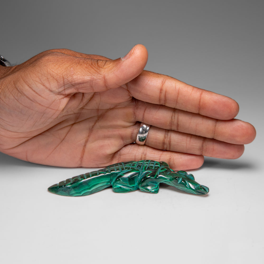 Genuine Polished Malachite Crocodile Carving (77.4 grams)