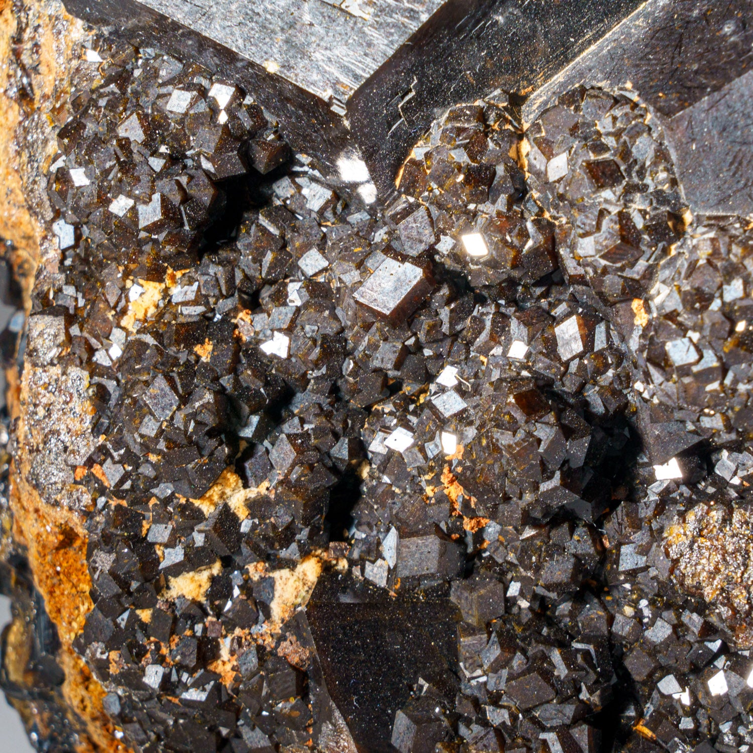 Melanite Garnet Crystal from Ojos Españoles Mine (Mina La Prieta Linda), Chihuahua, Mexico