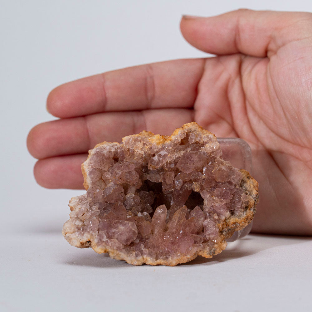 Pink Amethyst Geode Cluster from Neuquean Argentina (81.6 grams)