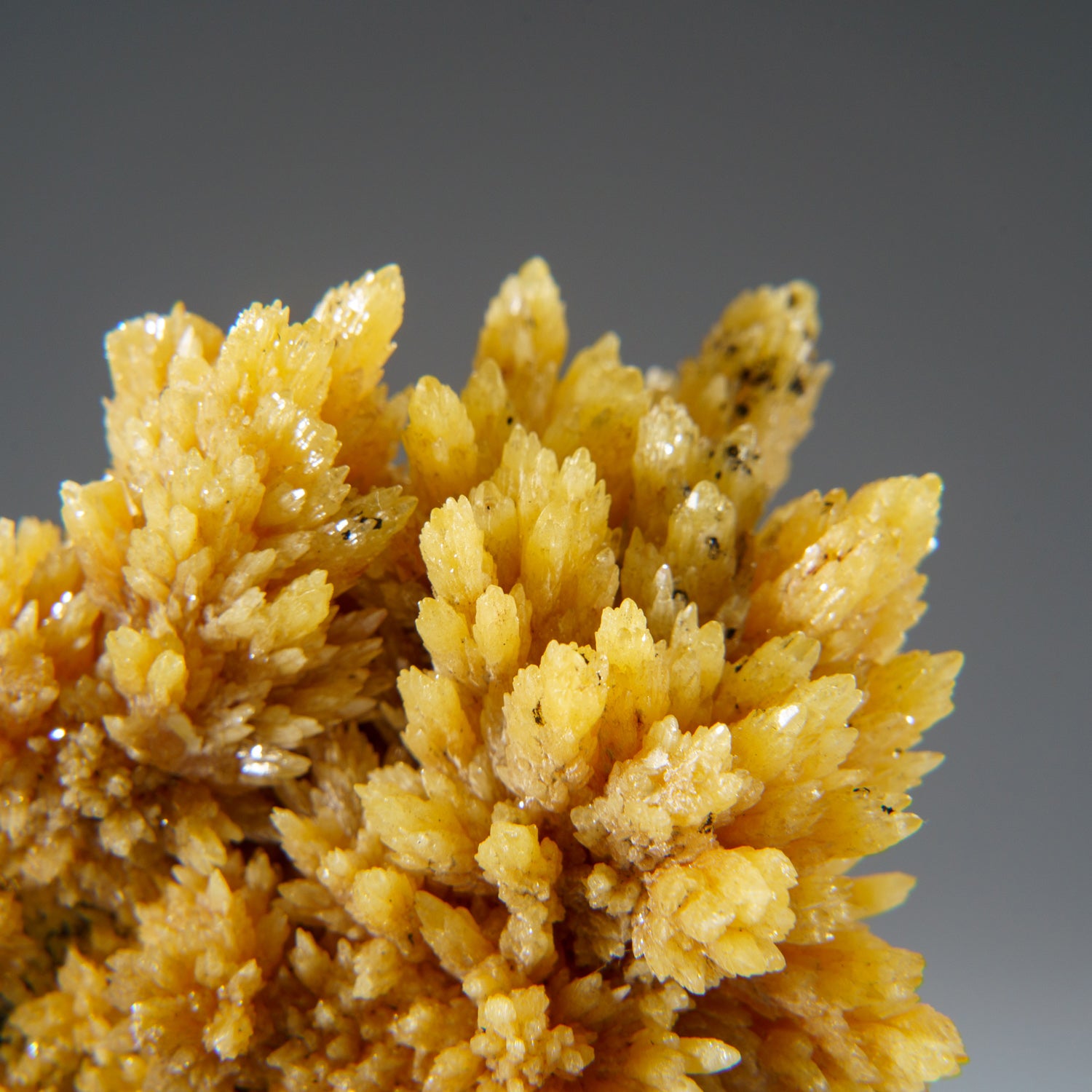 Mimetite from Tsumeb Mine, Otavi-Bergland District, Oshikoto, Namibia