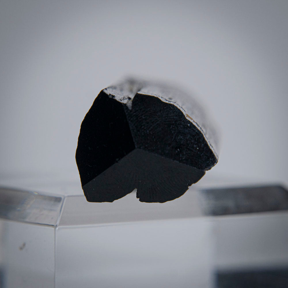 Black Tourmaline Crystal From China (42.5 grams)