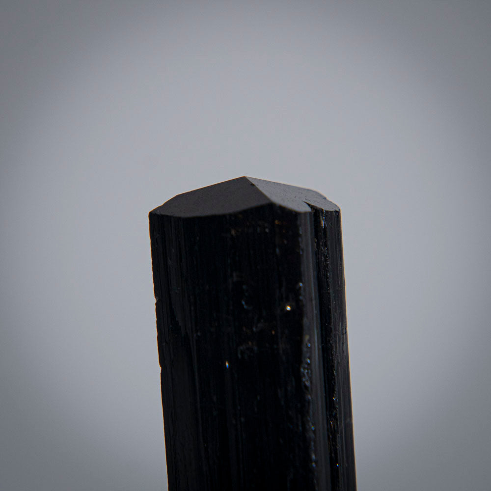 Black Tourmaline Crystal From China (42.5 grams)