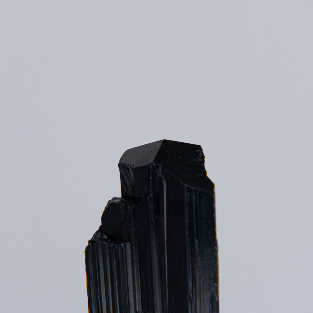Black Tourmaline Crystal From China (57 grams)