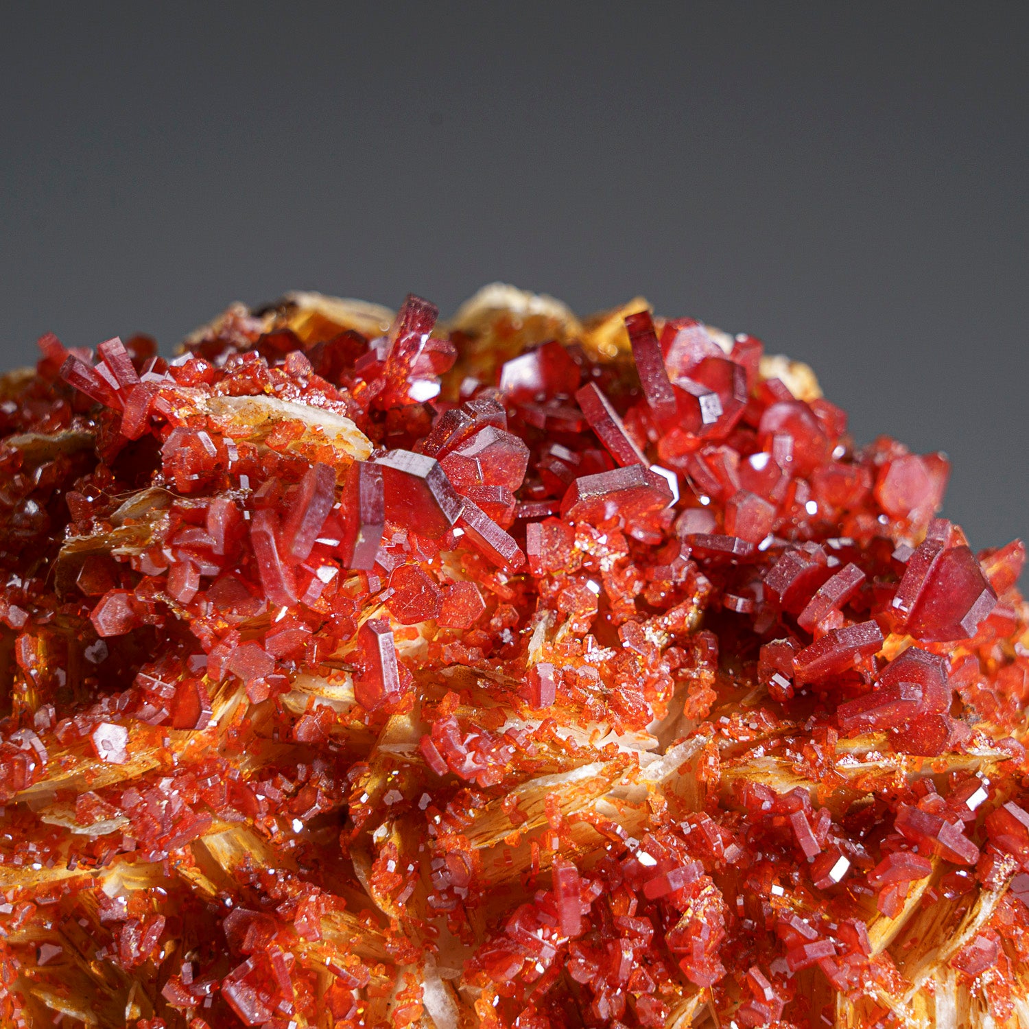 Vanadinite Crystal Cluster on Matrix from Mibladen, Atlas Mountains, Khénifra Province, Morocco