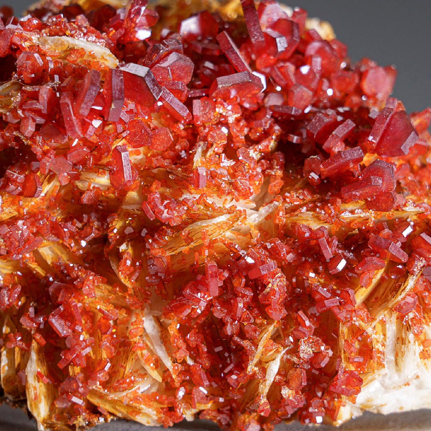 Vanadinite Crystal Cluster on Matrix from Mibladen, Atlas Mountains, Khénifra Province, Morocco