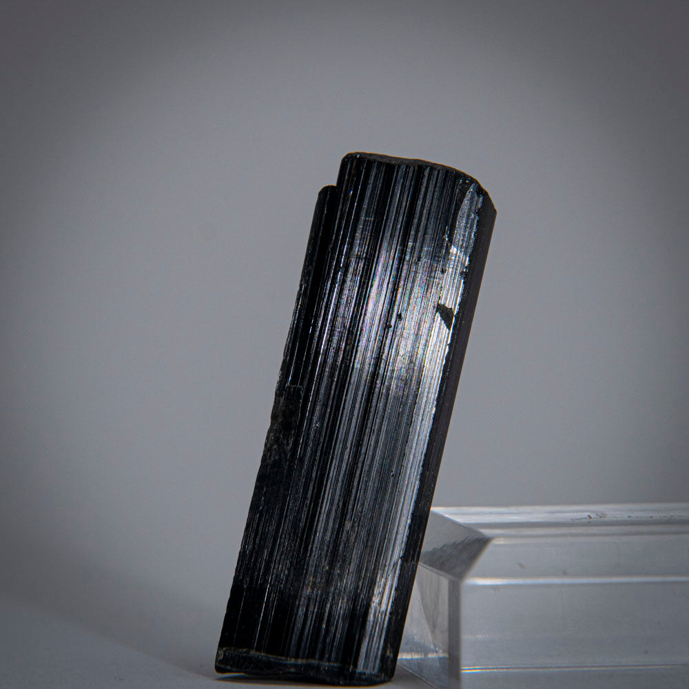 Black Tourmaline Crystal From China (49 grams)