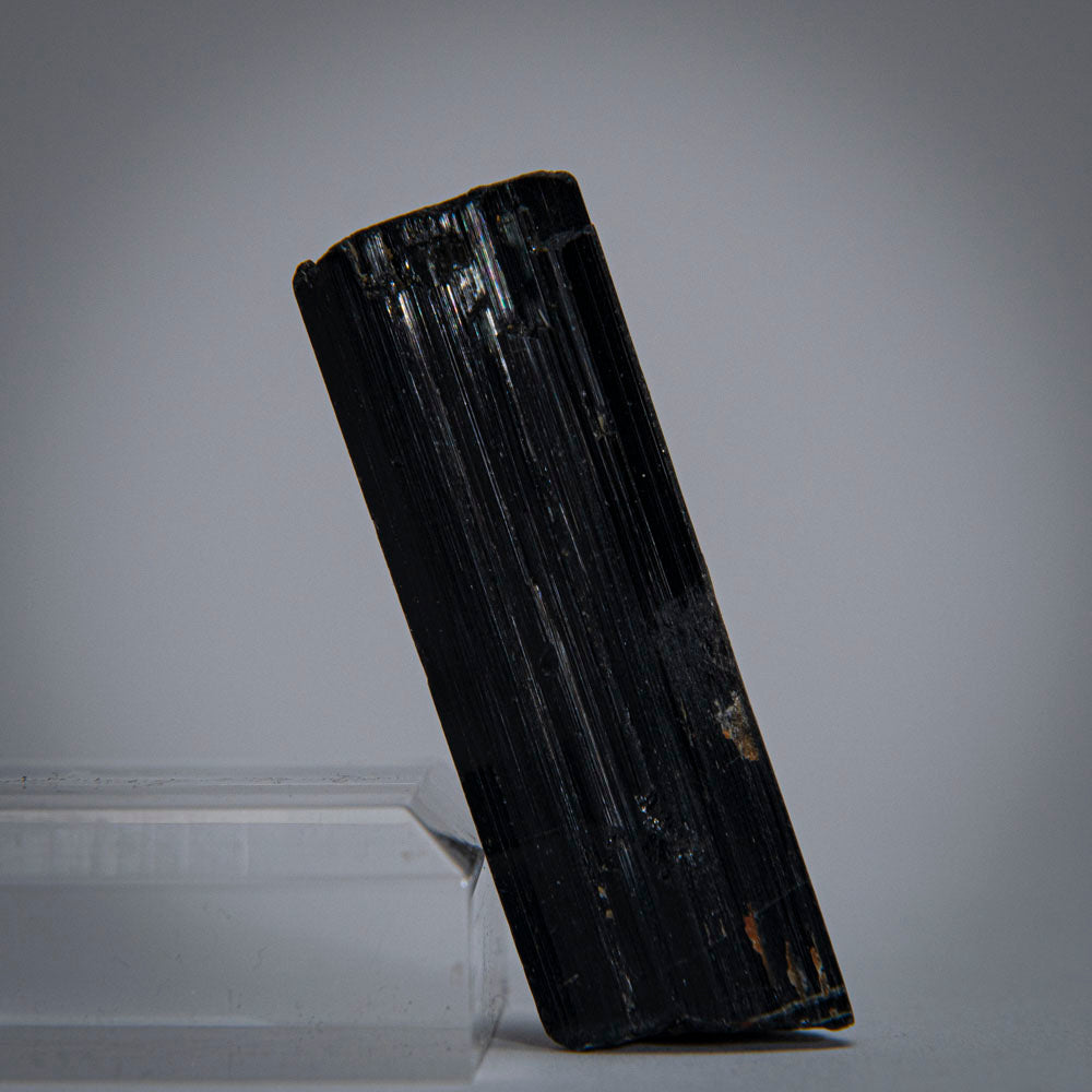 Black Tourmaline Crystal From China (49 grams)