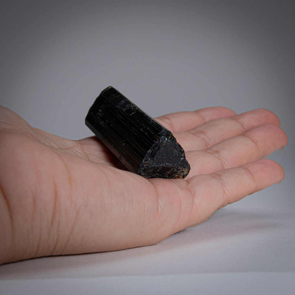 Black Tourmaline Crystal From China (49 grams)