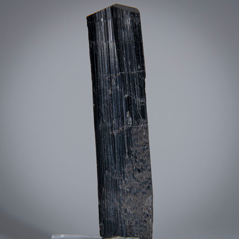 Black Tourmaline Crystal From China (58 grams)