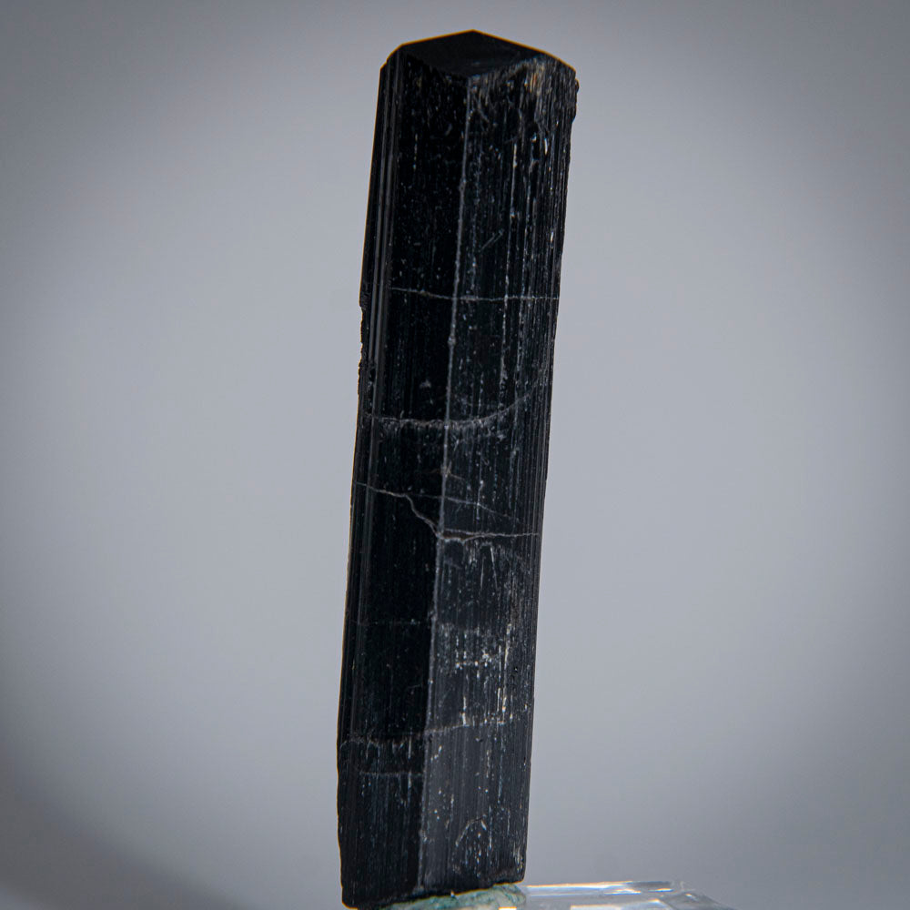 Black Tourmaline Crystal From China (58 grams)