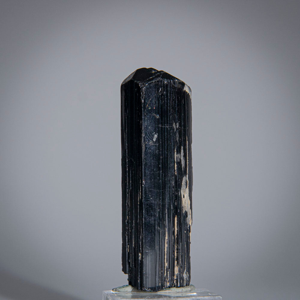 Black Tourmaline Crystal From China (52 grams)