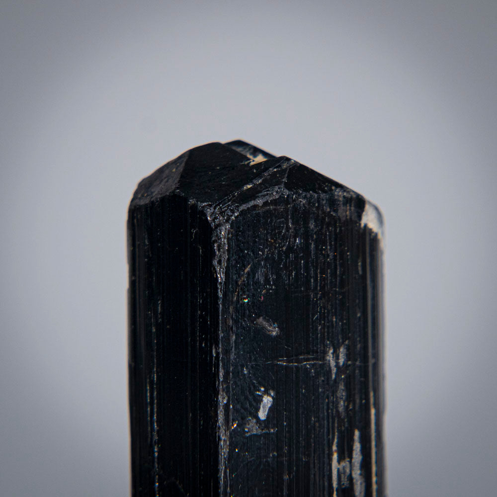 Black Tourmaline Crystal From China (52 grams)