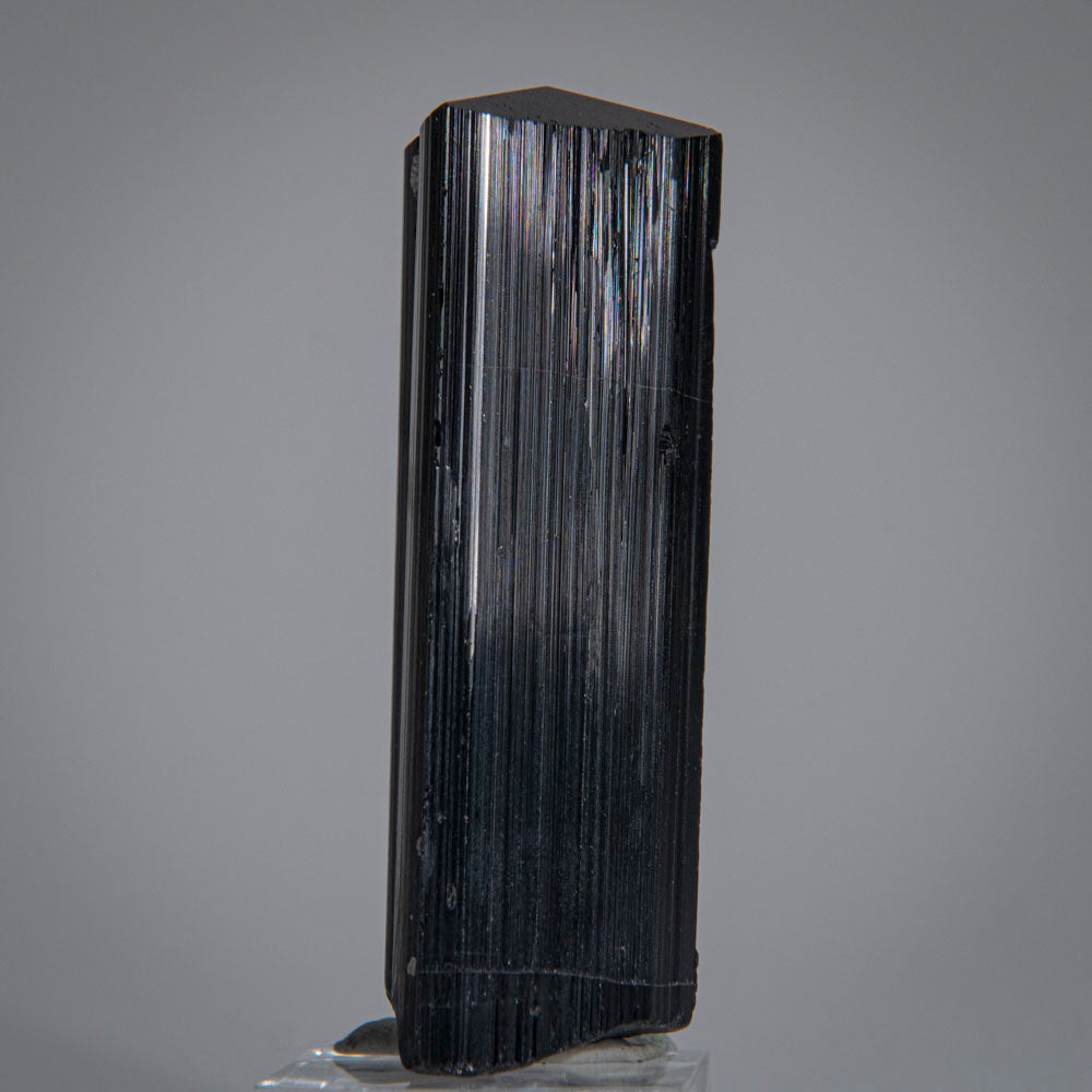Black Tourmaline Crystal From China (78 grams)