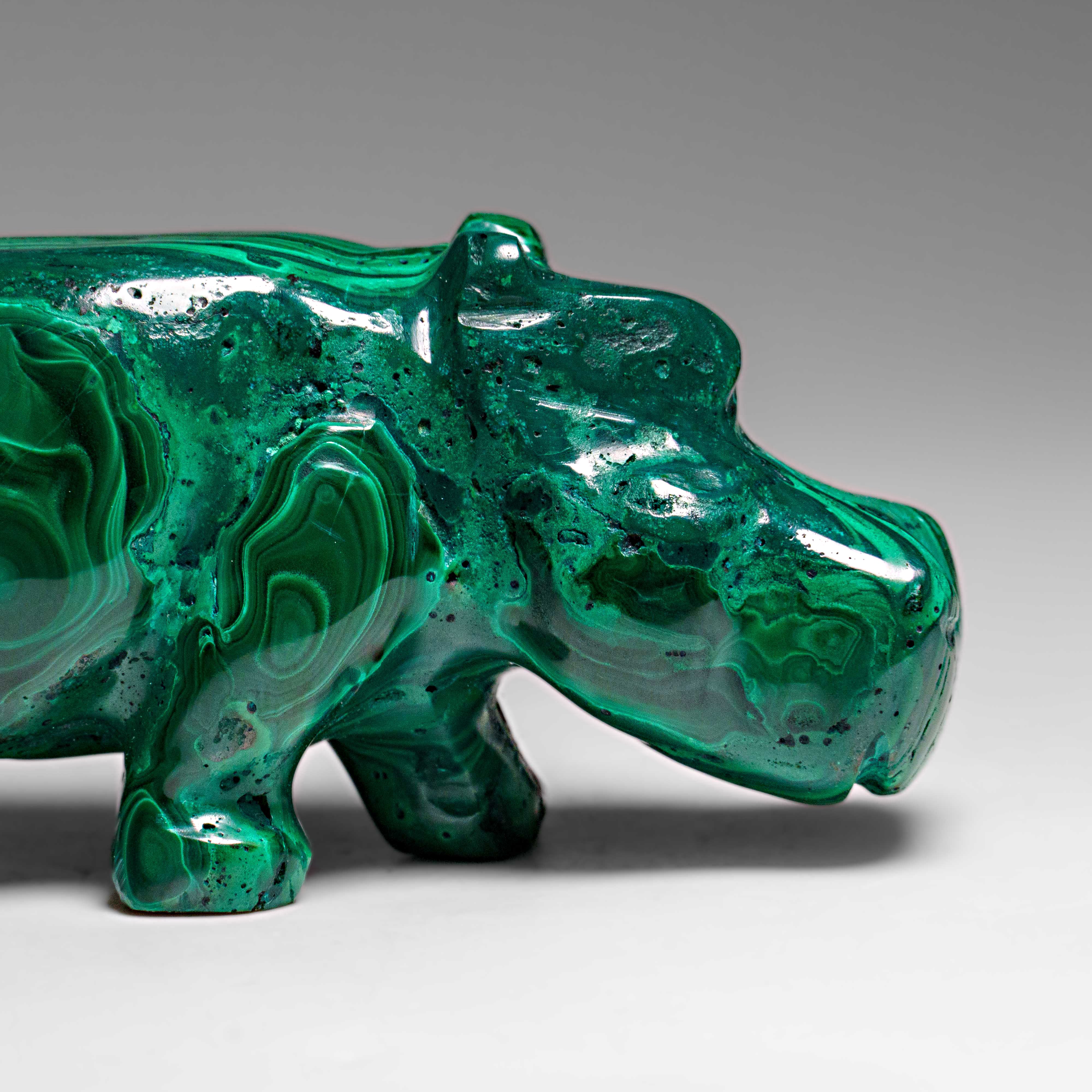Genuine Polished Malachite Hippo Carving (250.7 grams)