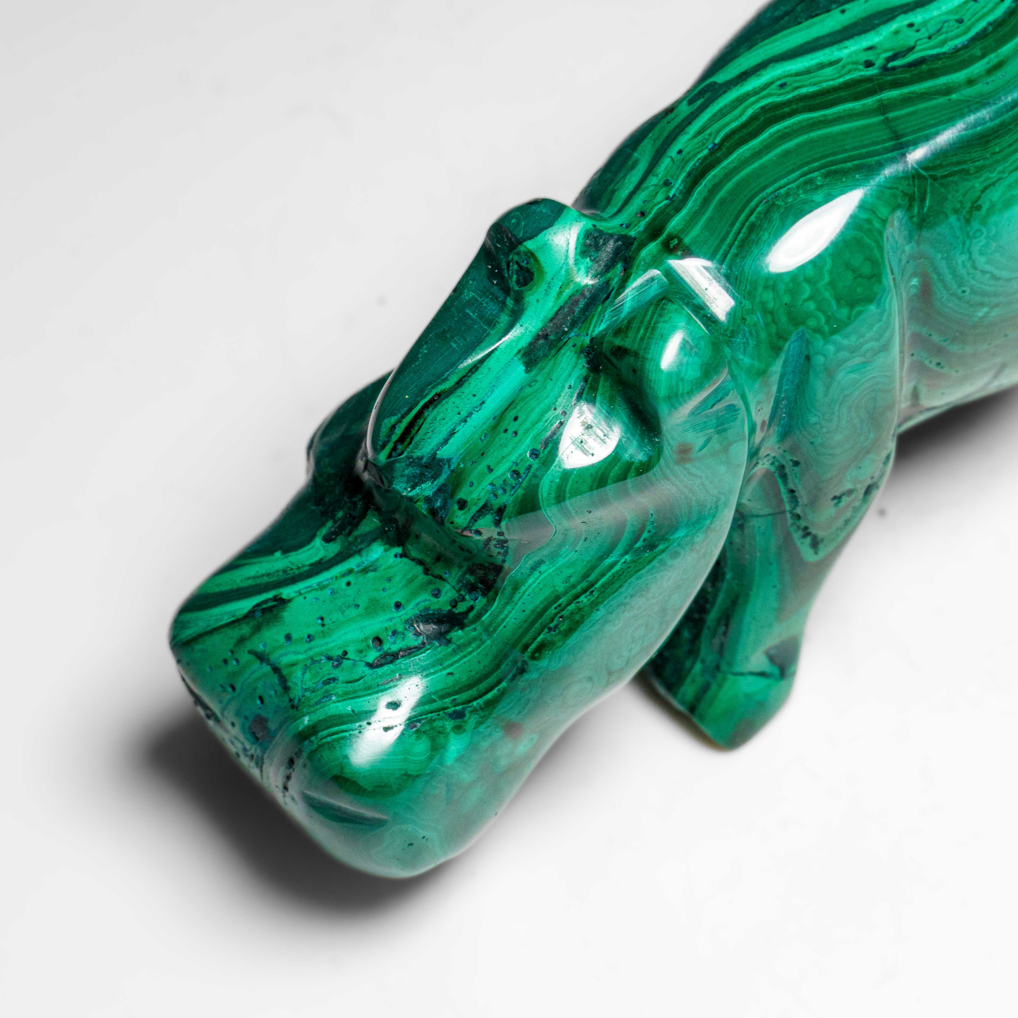 Genuine Polished Malachite Hippo Carving (250.7 grams)