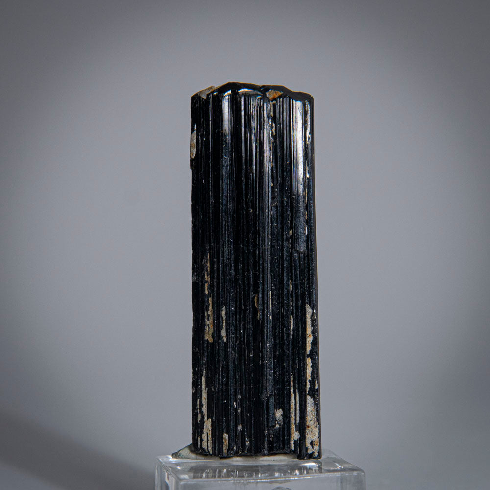 Black Tourmaline Crystal From China (40 grams)