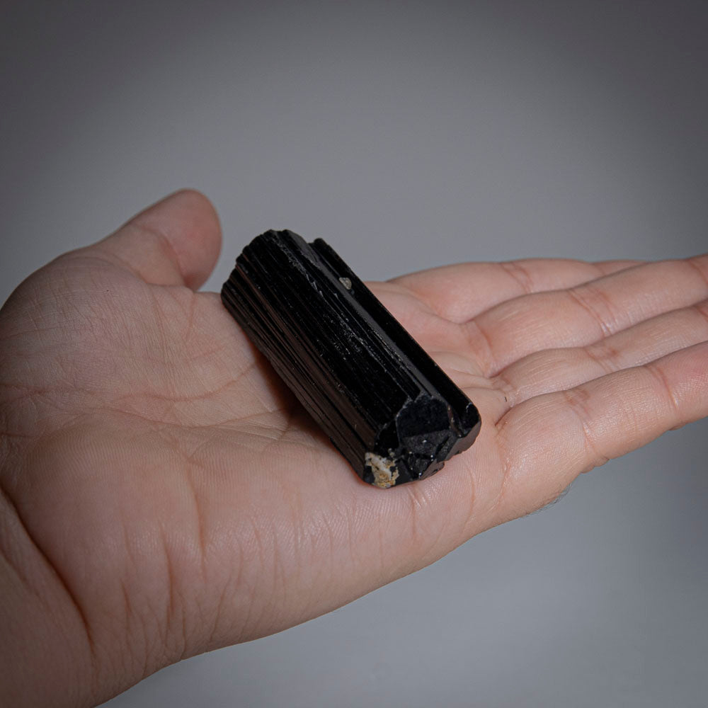 Black Tourmaline Crystal From China (40 grams)