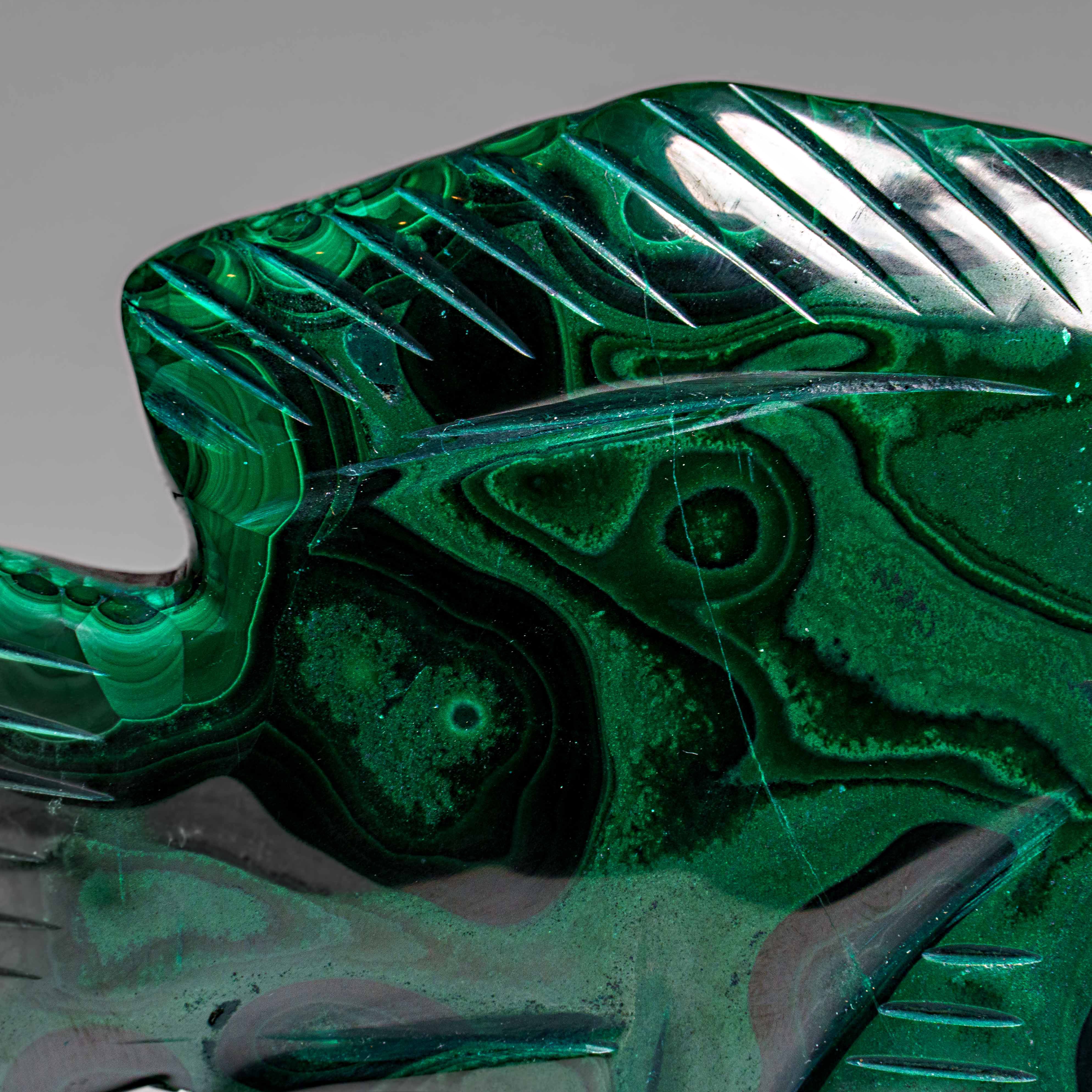 Genuine Polished Malachite Fish Carving (1.7 lbs)