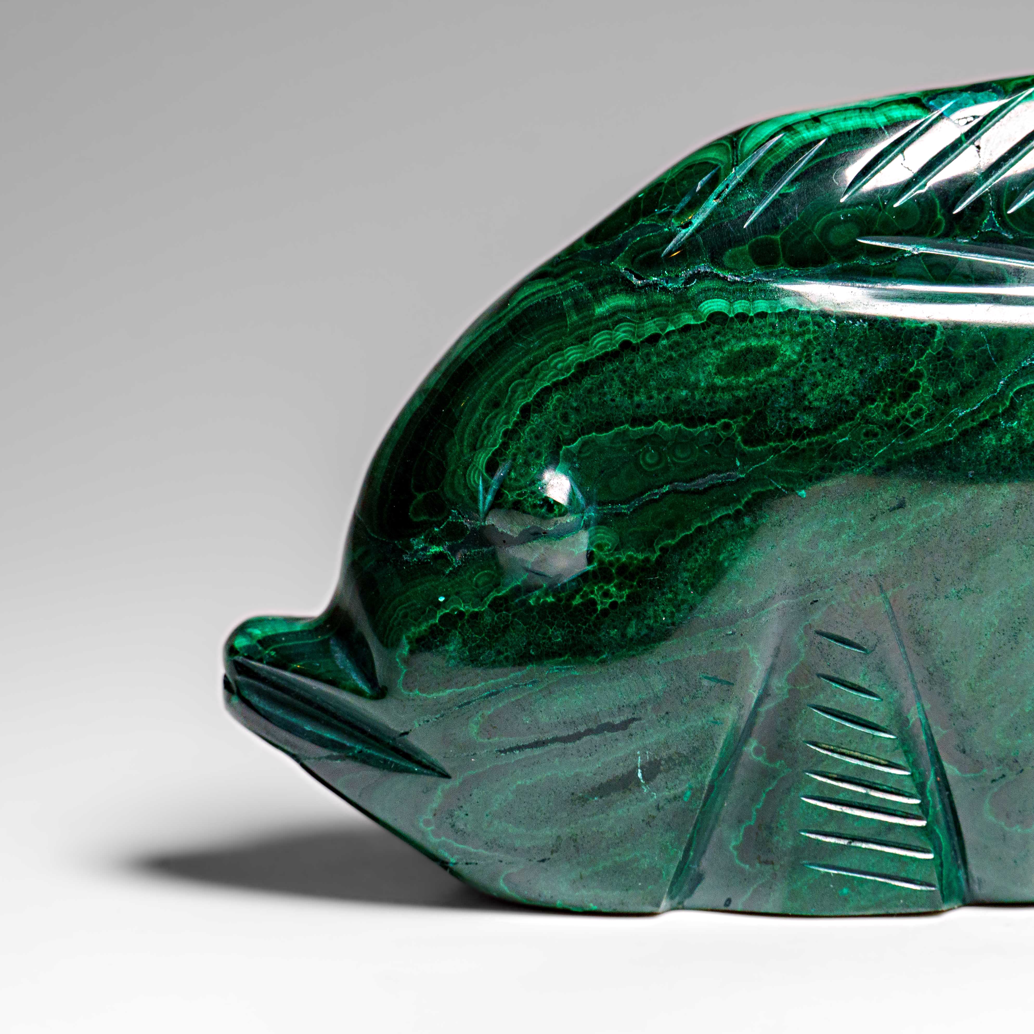 Genuine Polished Malachite Fish Carving (1.7 lbs)