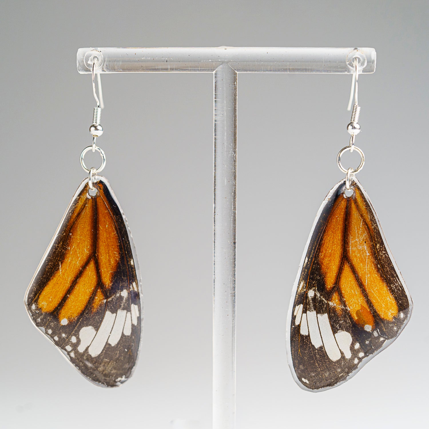 Genuine Butterfly (Monarch) Wing Earrings