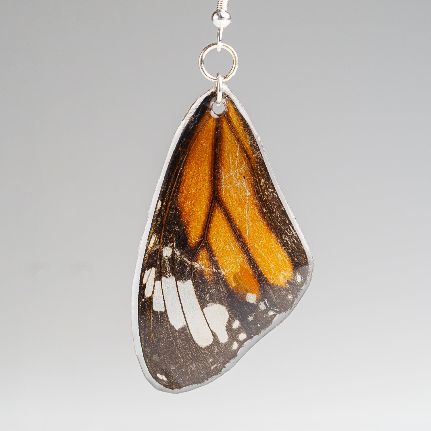 Genuine Butterfly (Monarch) Wing Earrings