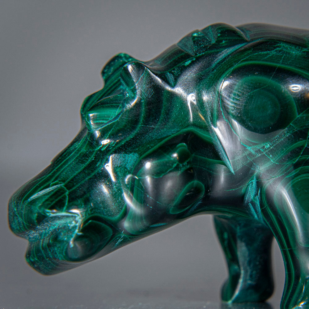 Genuine Polished Malachite Hippo Carving (146 grams)
