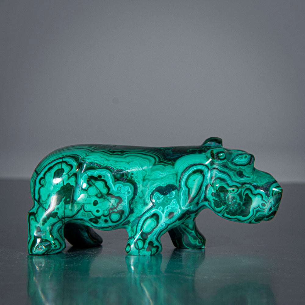 Genuine Polished Malachite Hippo Carving (153.7 grams)