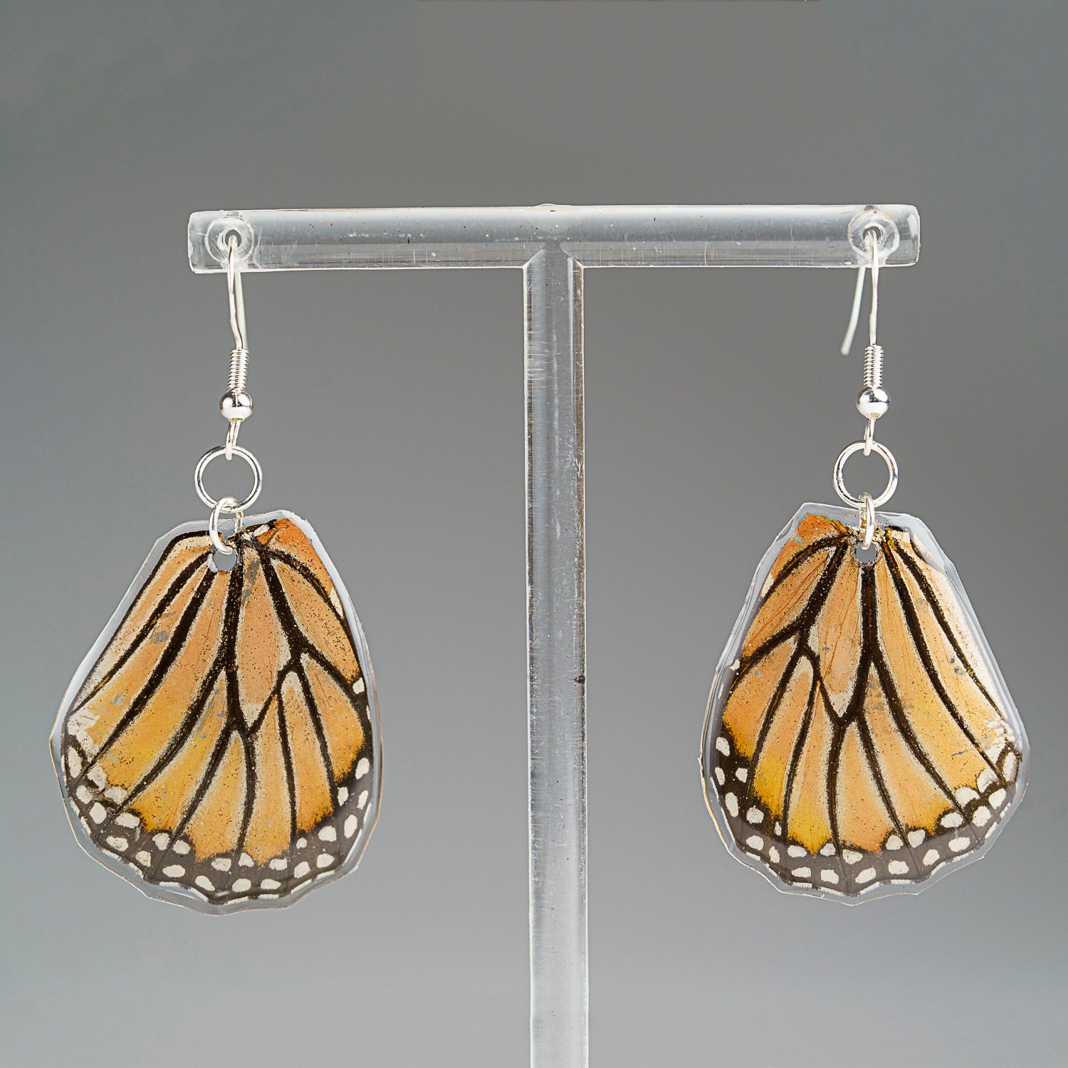 Genuine Butterfly (Spotted Leopard) Wing Earrings