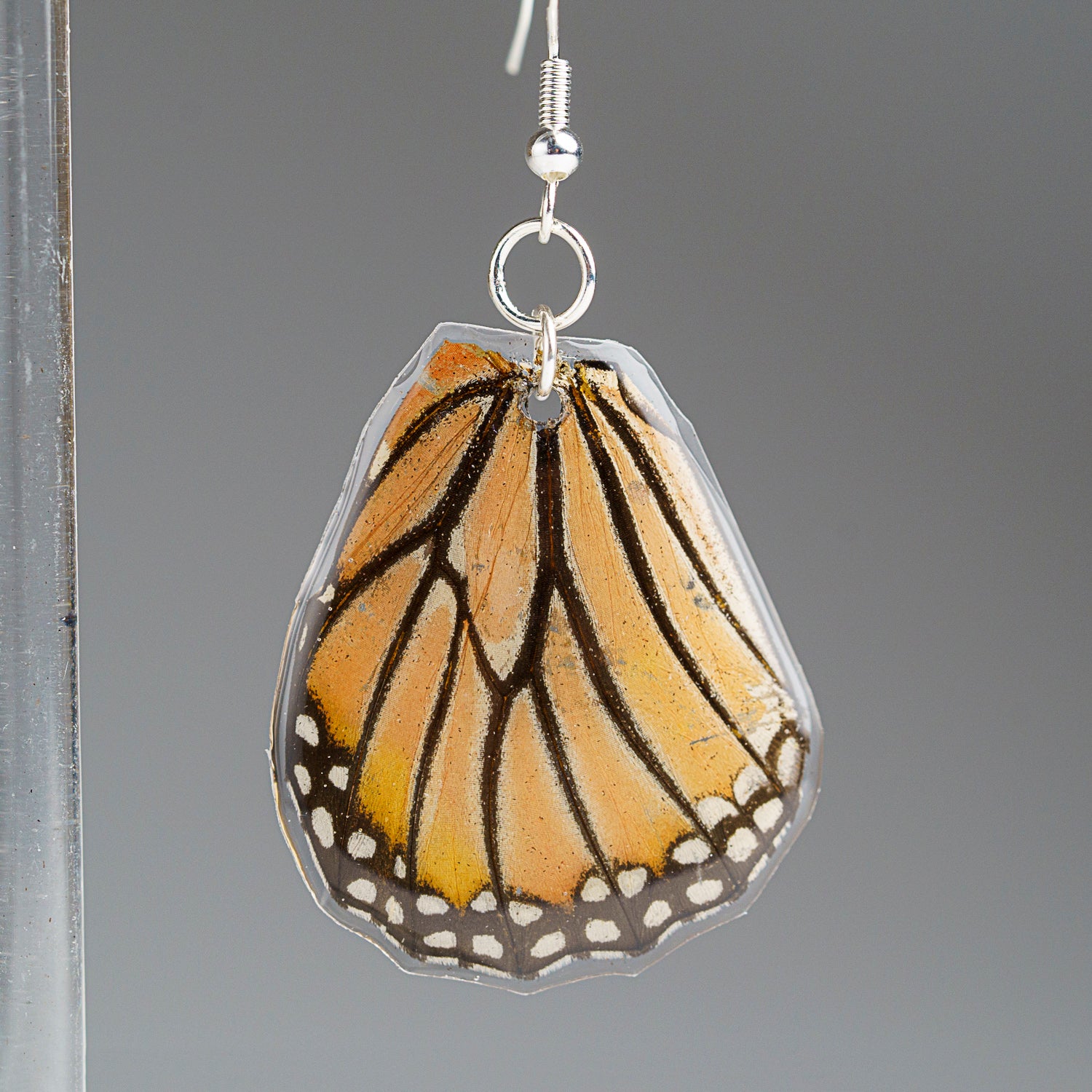 Genuine Butterfly (Spotted Leopard) Wing Earrings