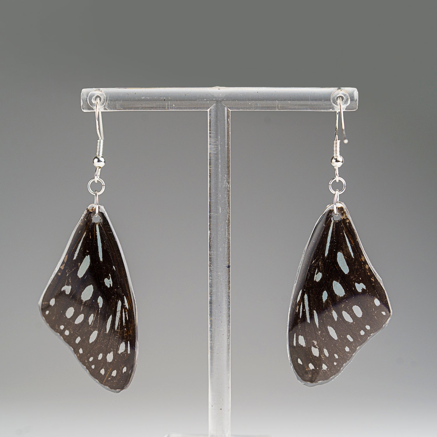 Genuine Butterfly (Red Lacewing) Wing Earrings