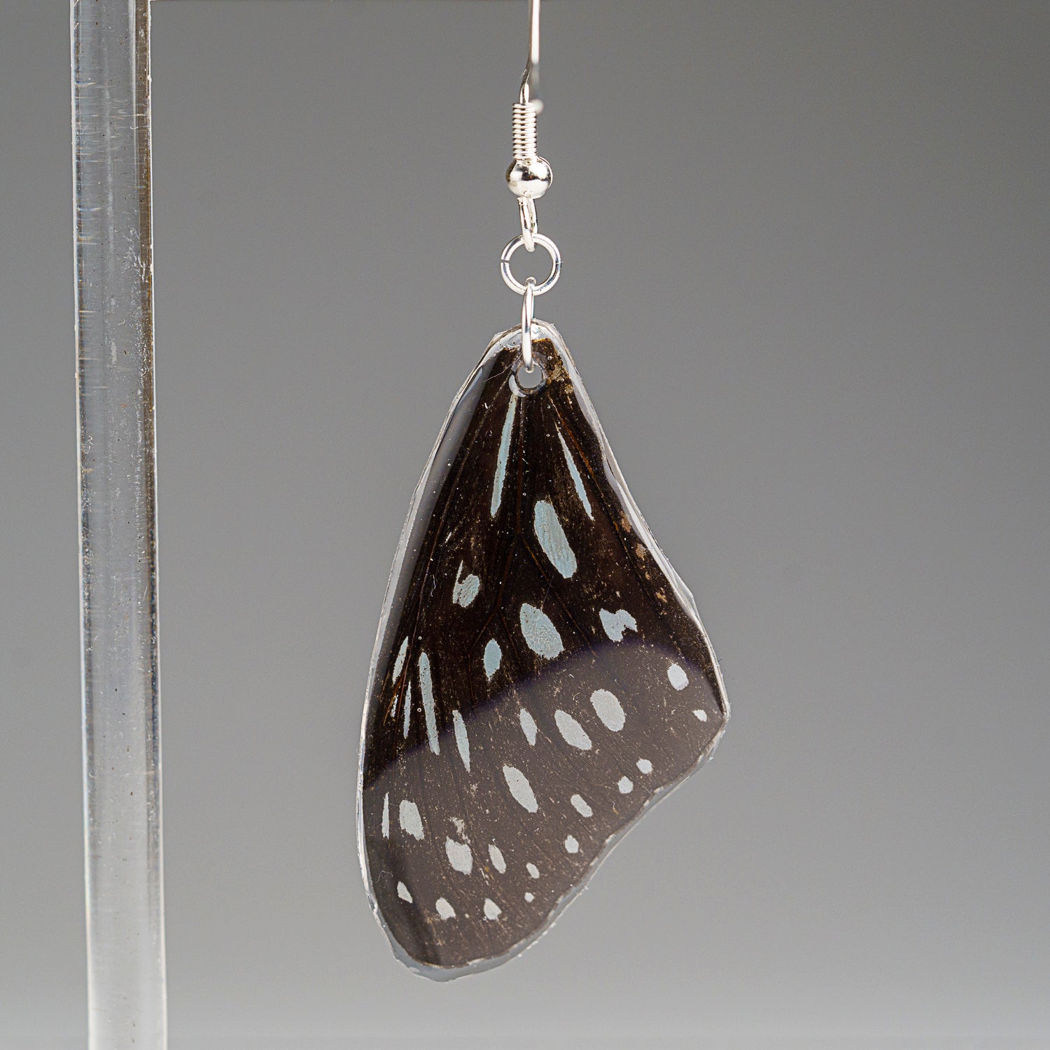 Genuine Butterfly (Red Lacewing) Wing Earrings