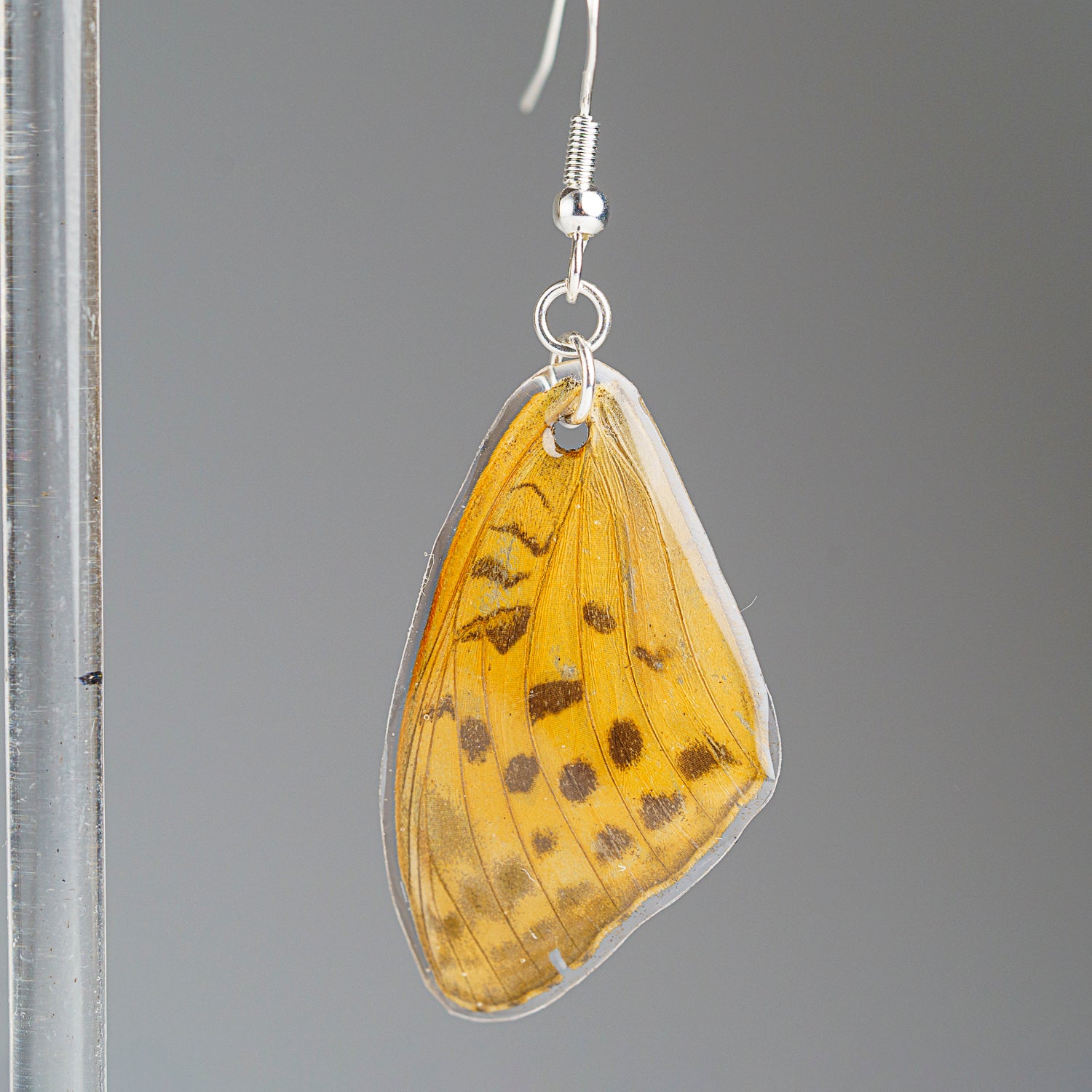 Genuine Butterfly (Yellow Monarch) Wing Earrings