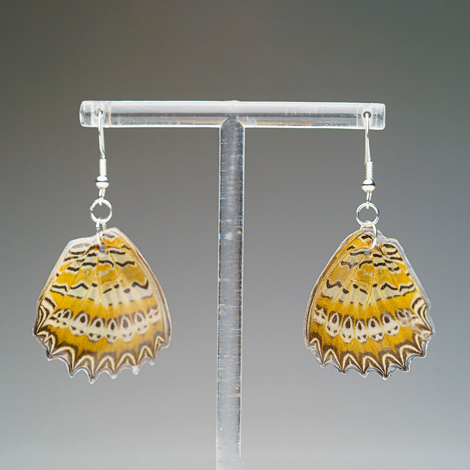 Genuine Butterfly (Red Lacewing) Wing Earrings