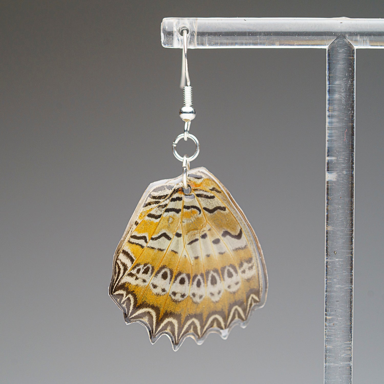 Genuine Butterfly (Red Lacewing) Wing Earrings