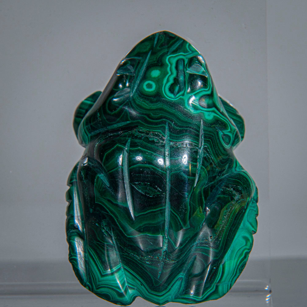 Genuine Polished Malachite Frog Carving (139.4 grams)