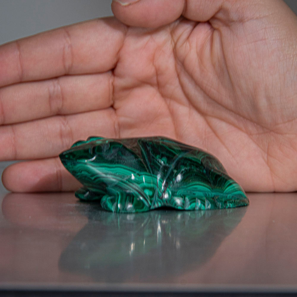 Genuine Polished Malachite Frog Carving (139.4 grams)