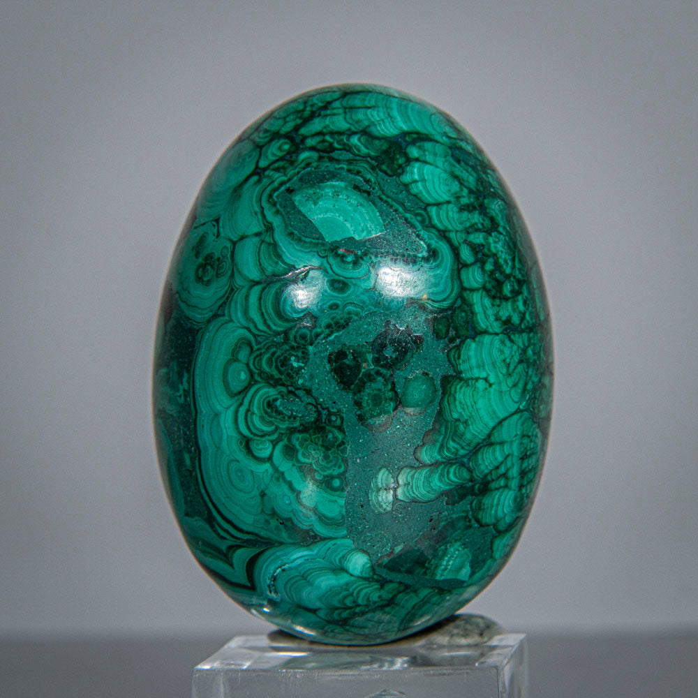 Genuine Polished Malachite Egg (188 grams)