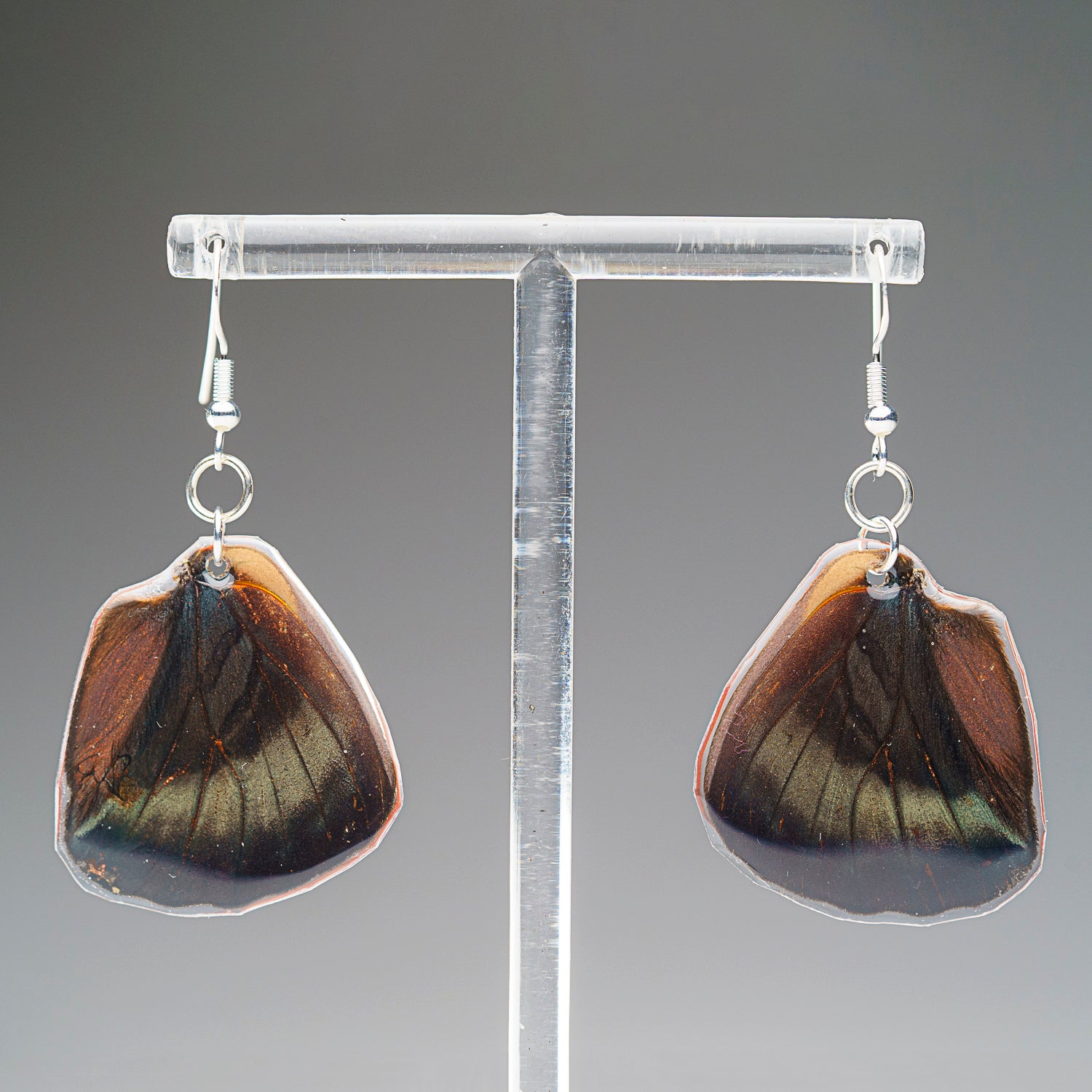 Genuine Butterfly (Red Flasher) Wing Earrings