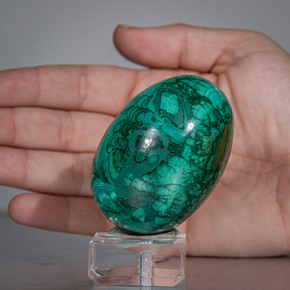 Genuine Polished Malachite Egg (188 grams)