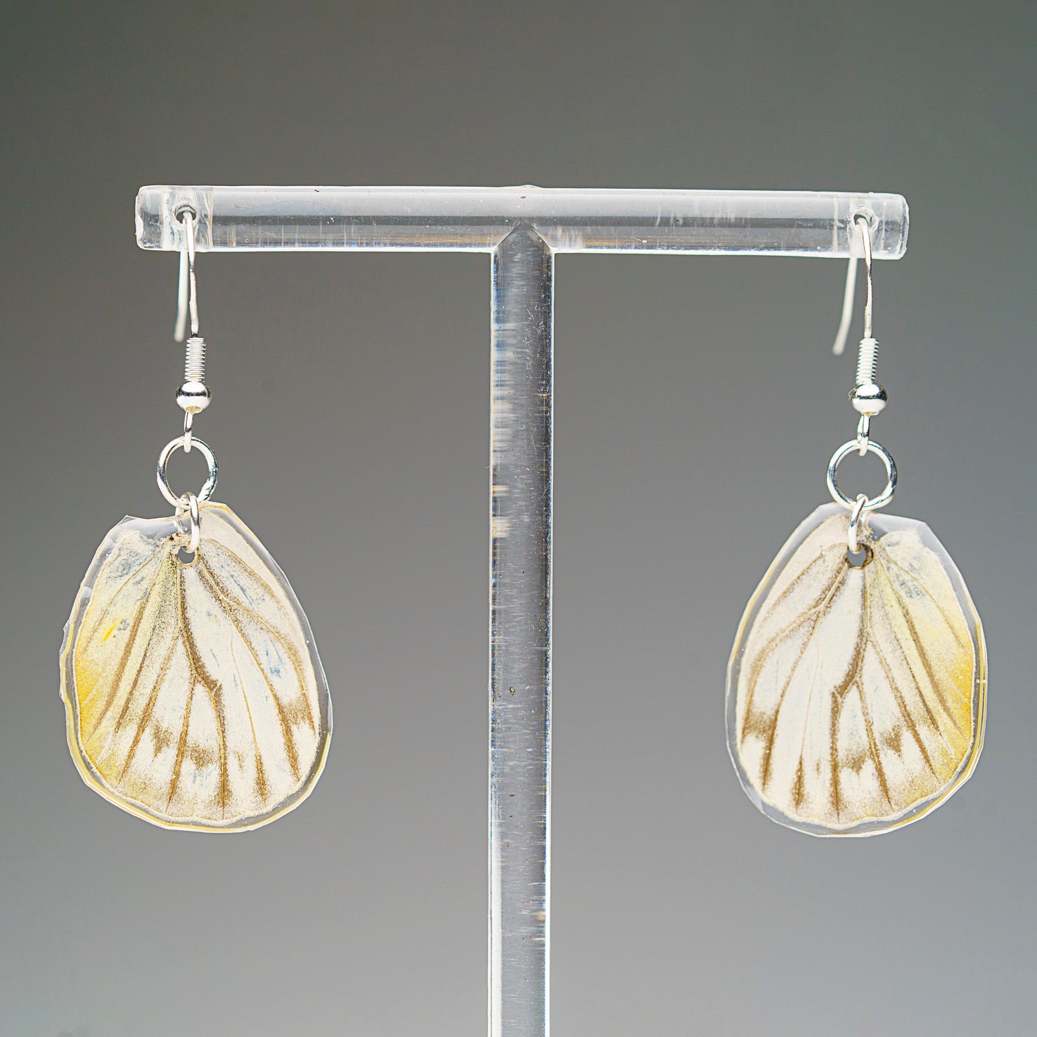 Genuine Butterfly (Vagrant) Wing Earrings