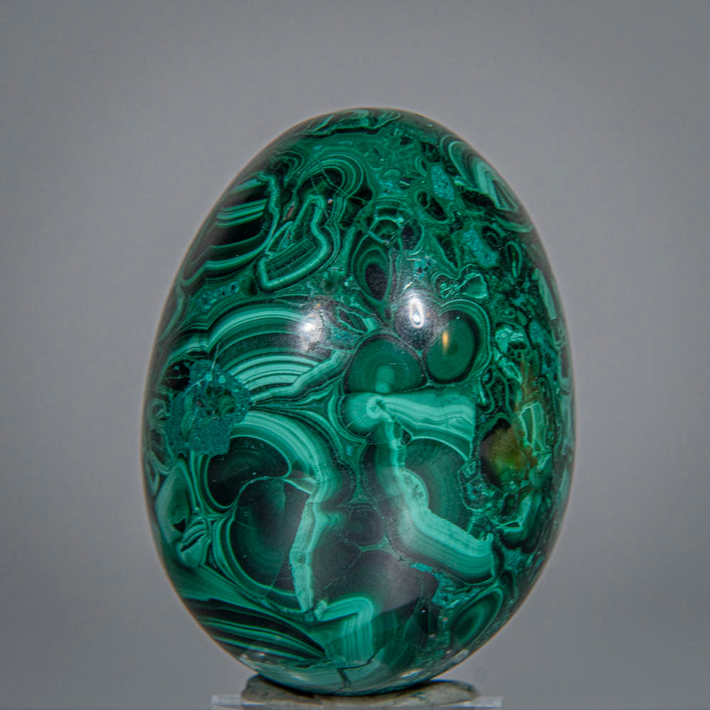 Genuine Polished Malachite Egg (240.4 grams)