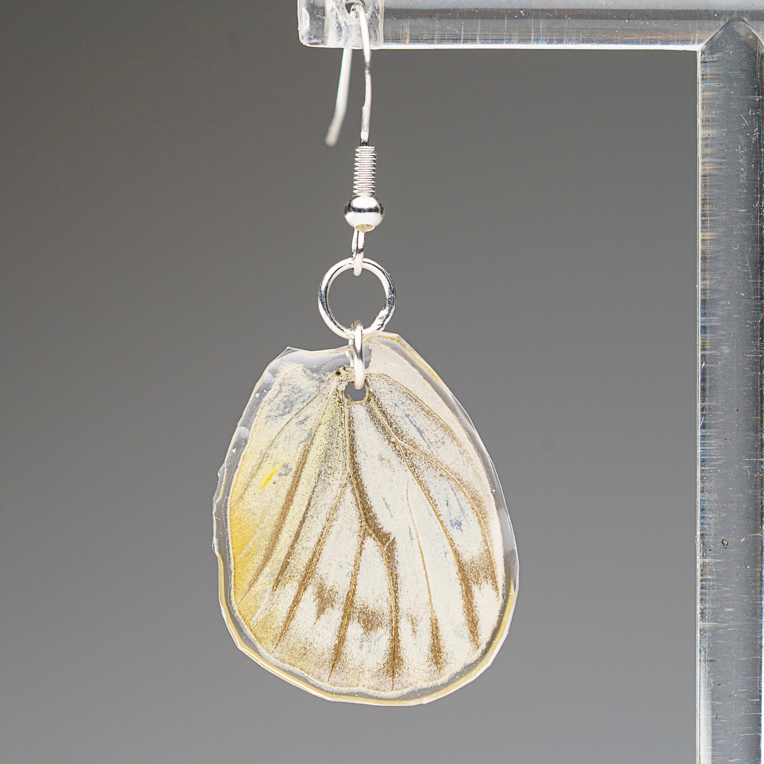 Genuine Butterfly (Vagrant) Wing Earrings