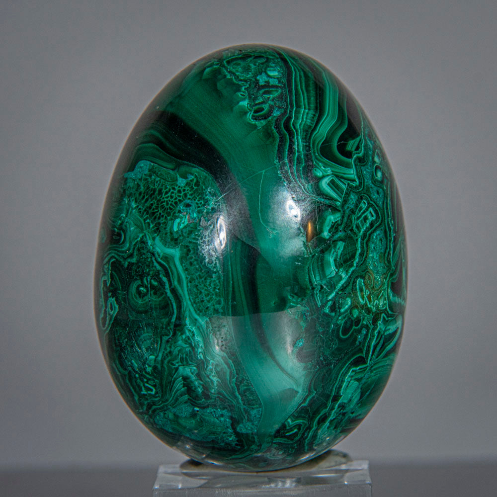 Genuine Polished Malachite Egg (240.4 grams)