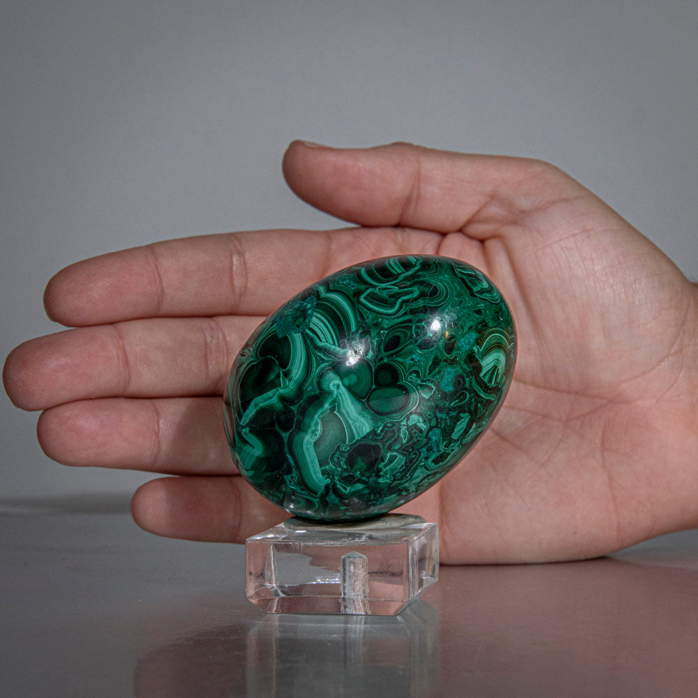 Genuine Polished Malachite Egg (240.4 grams)