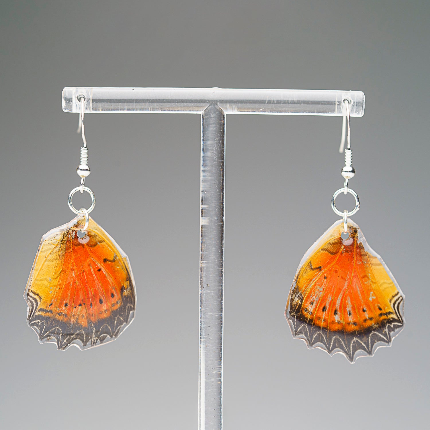 Genuine Butterfly (Red Lacewing) Wing Earrings